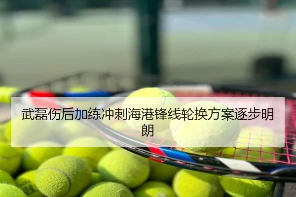 武磊伤后加练冲刺海港锋线轮换方案逐步明朗